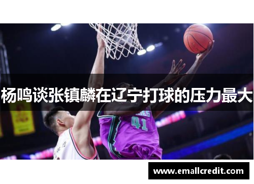 杨鸣谈张镇麟在辽宁打球的压力最大